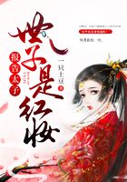 報(bào)告太子：世子是紅妝在線閱讀