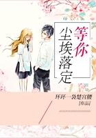 等你尘埃落定