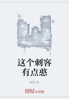 这个刺客有点憨在线阅读