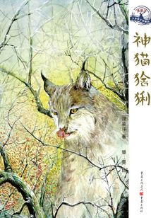 神貓猞猁