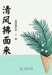 清风拂面来