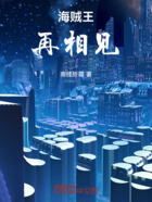 海贼王:再相见在线阅读