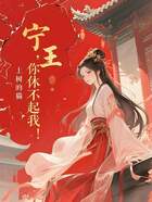 宁王,你休不起我!在线阅读