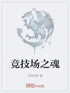 竞技场之魂在线阅读