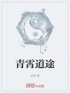 青霄道途在线阅读