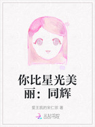 你比星光美麗：同輝在線閱讀