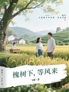 槐树下，等风来