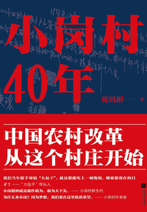 小崗村四十年