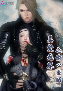 真愛無界之偷心盜賊