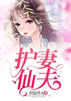 護(hù)妻仙夫在線閱讀