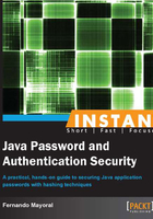 Instant Java Password and Authentication Security