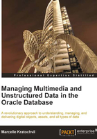 Managing Multimedia and Unstructured Data in the Oracle Database