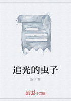 追光的蟲子在線閱讀