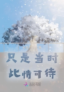只是当时此情可待