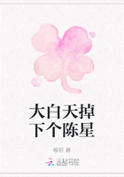 大白天掉下個陳星在線閱讀