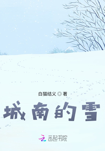 城南的雪