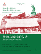 统治与抵抗的仪式：墨西哥的公共庆典与流行文化在线阅读