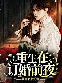 重生在訂婚前夜