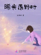 晞光落野时在线阅读