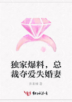 獨家爆料，總裁奪愛失婚妻在線閱讀