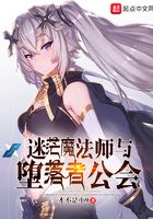 迷茫魔法师与堕落者公会