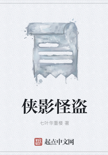 俠影怪盜
