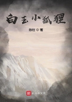 白玉小狐貍在線閱讀