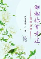 我的世界謝謝你曾走過在線閱讀
