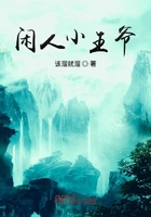闲人小王爷在线阅读