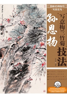 國畫名師指導·寫意花鳥：孫恩揚寫意梅蘭竹菊技法