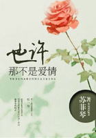 也许那不是爱情