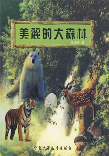美麗的大森林