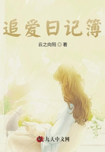 追愛(ài)日記簿