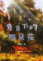 青空下的那朵花在线阅读