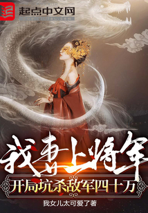 我妻上将军，开局坑杀敌军四十万在线阅读