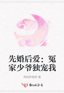 先婚后愛：冤家少爺獨寵我