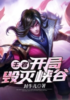 王者：開局毀滅峽谷在線閱讀
