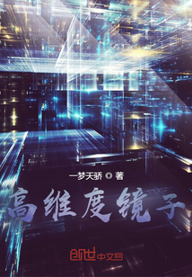 高维度镜子