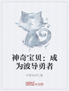 神奇宝贝：成为波导勇者在线阅读