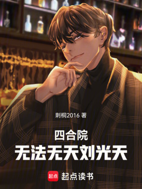 四合院:无法无天刘光天在线阅读