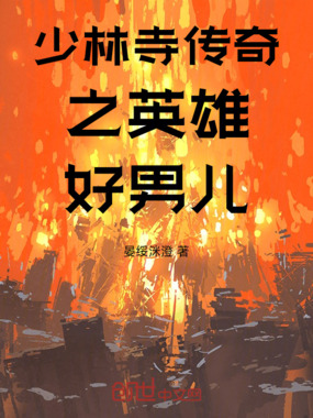 少林寺传奇之英雄好男儿在线阅读