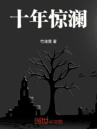 十年惊澜在线阅读