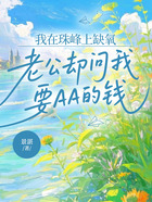 我在珠峰上缺氧，老公却问我要AA的钱在线阅读