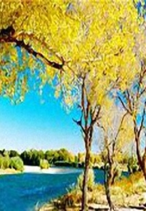 错过了的秋天