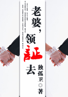 老婆,領(lǐng)證去在線閱讀