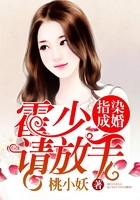 指染成婚：霍少，請放手在線閱讀