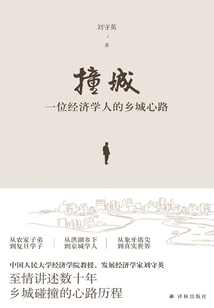 撞城:一位經濟學人的鄉城心路