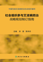 社会组织参与艾滋病防治战略规划制订指南在线阅读