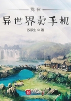 我在异世界卖手机