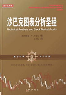 沙巴克圖表分析圣經（舵手經典譯叢）